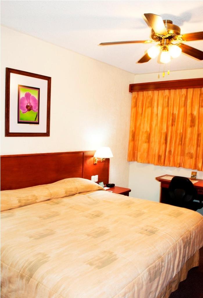 Hotel Marcella Clase Ejecutiva Морелия Екстериор снимка